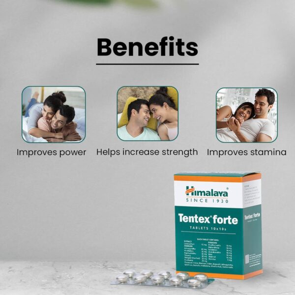 Tentex Forte - Image 2