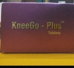 KneeGo plus
