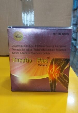 KneeGo plus
